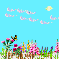 Butterfly.animation